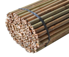 toekomst Brouwerij Dwang EcoBam bamboe - ECOBAM BAMBOE / THERMO SUPREME BAMBOE